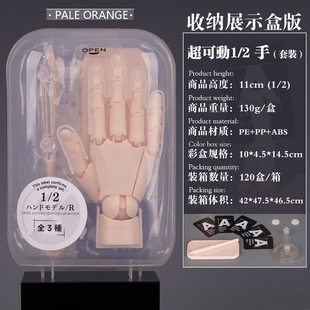 ���Ʉ�1/2��ģ����ָ�P�������ք����L�����w���g���kչʾ���ռ{
