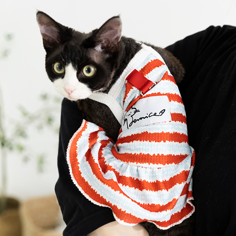 Primavera y verano lindos gatos rayos de dos patas falda sin pelo gato chaleco pareja vestido vestido vestido de gato mascota ropa de gato