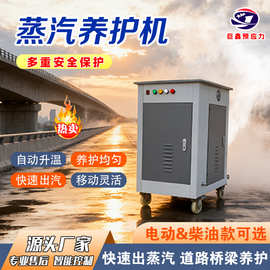 桥梁48kw蒸汽养护机混凝土箱梁全自动蒸汽发生器工业全自动电锅炉