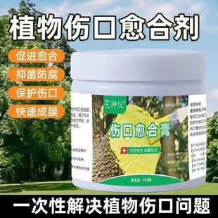 ֲ��������τ��־��������т����Ϸ����x��֦�ɂ����_���޼��ؘ�
