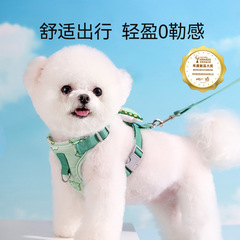 子犬の犬の牽引縄のベスト式の小型の子犬のテディは熊の博美なネットの胸より犬のチェーンの犬の縄を散歩します。