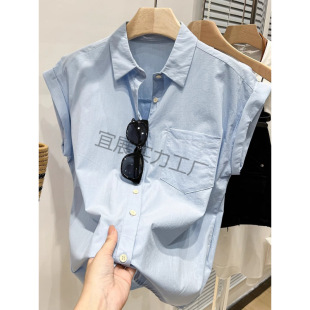 Blue Short-Sleeved Shirt for Women Summer 2025 New Loose Shirt French Design Chic and Beautiful Small Flying Sleeve Top