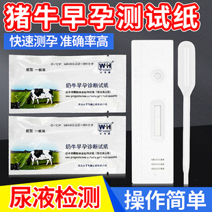 ĸţ���Мyԇ��ĸ�i�y�м��F�Üy�м�����ԇ���F�Ñ��Йz�yԇ����