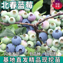 һl{ݮͥԺ̨ϱNֲ玧