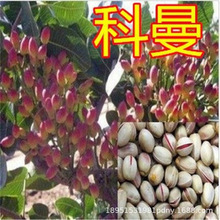 �����_�Ĺ����ϱ����Nֲ���箔��Y���_�Ĺ�������԰����ӾG��