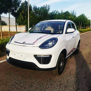 家用女士小型上班代步車空調新能源油電兩用電動四輪車成人出行