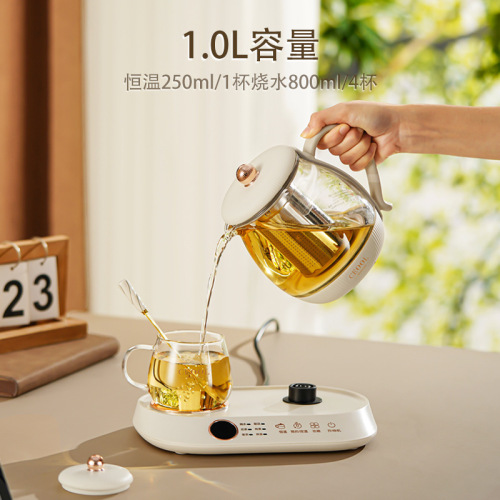Ms. President's new health-preserving teapot is a household fully automatic decoction pot for making tea and boiling water. Multifunctional health-preserving teapot wholesale
