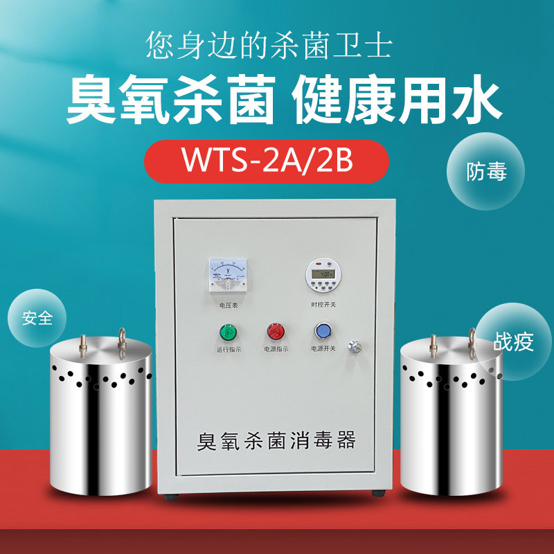 水箱自洁消毒器臭氧发生器内置式外置式WTS-2A2B2W水池水塔微消毒