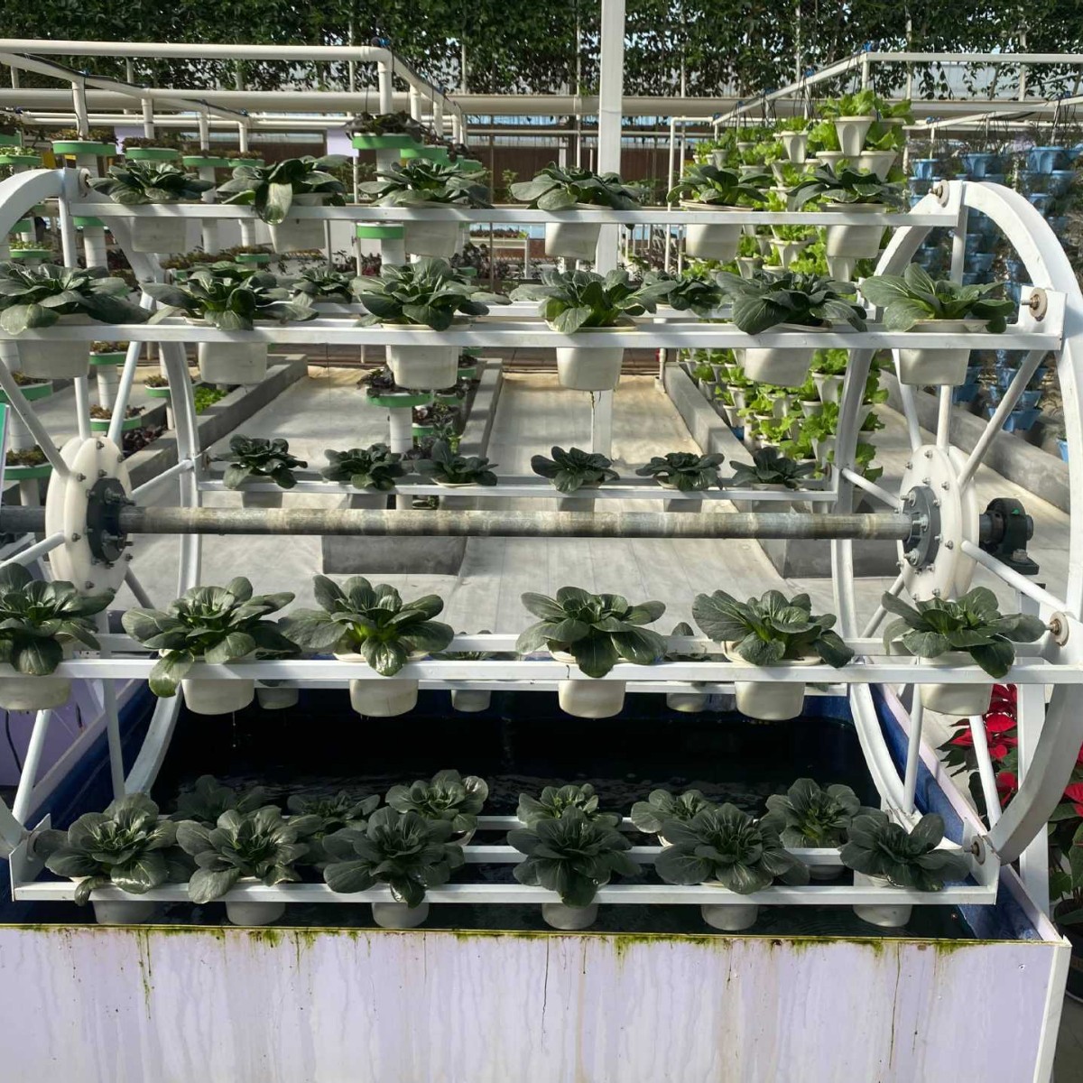 無土壌栽培野菜回転植栽ラック温室水耕栽培タワーは時間に合わせて回転して多層植栽が可能