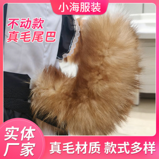 ���ӿ���ë����β��cosplay���˺���β���Ɍ��b������������β��