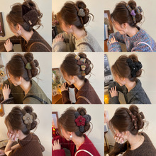 �͹�2026�¿�����ץ�AŮ�߼��бP�l���~�Aë�q�l������İl�A�l��