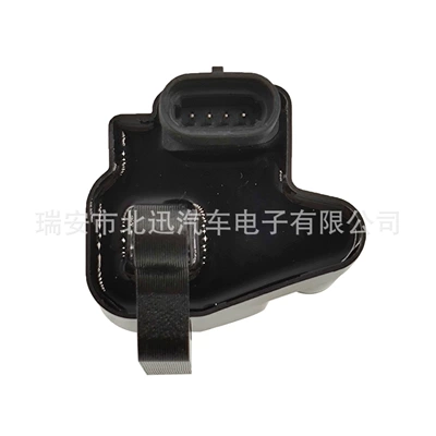 12570553 Ignition Coil Alovlanma bobini (Babinalar)