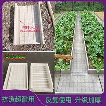 ��Ʒ�˴u�·�ϰ�ͥԺ�ϰ�������@ˮ�����˵�ʯ·��ģ�߲˲���