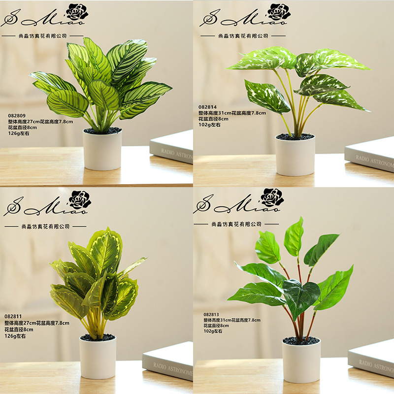 Cuatro piezas de plantación verde ☆