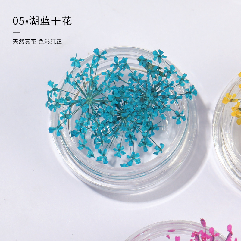 레이크 블루 레이스 꽃 (3 상자)