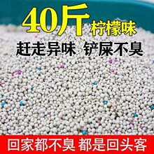 ����؈ɰ40��Y�F��ճ��΢�m�־�����������؈10��