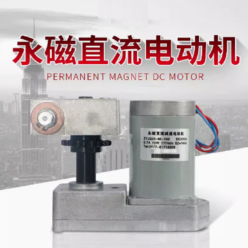 63ZY直流电机ZYJ220-66-101DC220V永磁直流减速电机ZYJ110-66-VS1
