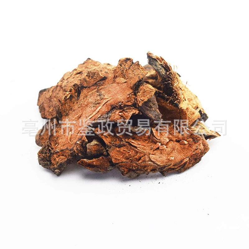 Guan Zhong Dried Cyrtomium Rhizome 500g Bulk TCM Herbal Material quality and texture