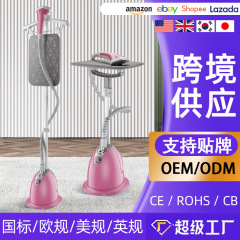 クロスボーダーアイロン機縦型家庭用シングルレバー手持ち大容量蒸気アイロン機プレゼント卸売り工場直供