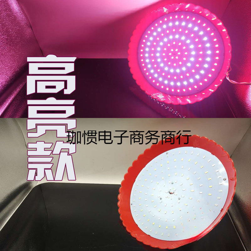 水果灯可调色地摊夜市led生鲜灯12V-85v调色电瓶灯低压摆摊水果灯|undefined