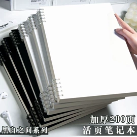 笔记本记事本;画纸、画布;其他簿本册