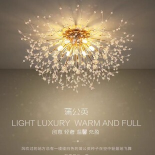 Bedroom Lamp Cyber Celebrity Dandelion Ceiling Lamp Warm Romantic Creative Living Room Crystal Nordic Light Luxury Room Lighting