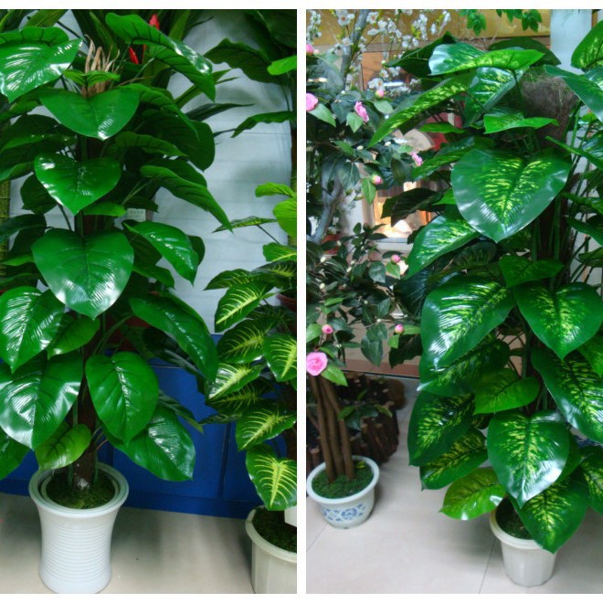 FUENTE Fábrica al por mayor de la planta de simulación árbol 63 Paquete de hojas Goteo marrón Guanyin rábano verde de hoja perenne planta verde árbol falso