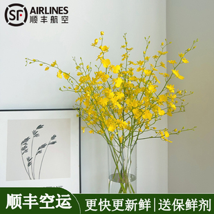 ���x���������m�r�����ֱ�l�r�л�����ƿ�廨�����m��S���\���l