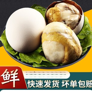 ����40ö���r13��������u�ߵ��_����ʳ��䓻�ë��ë�u����������