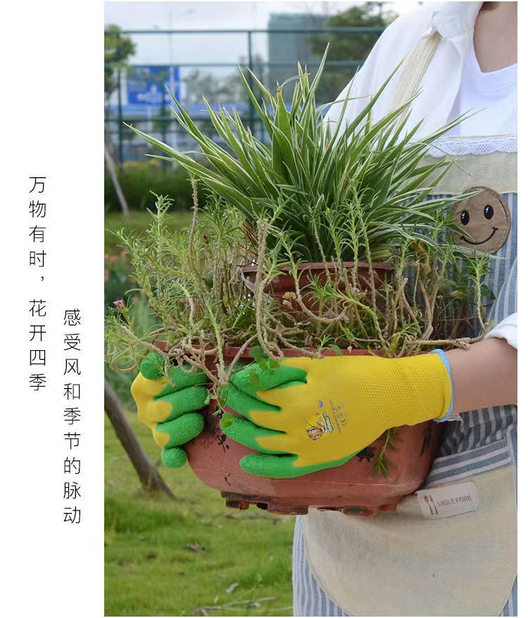 微信图片_20230118111517