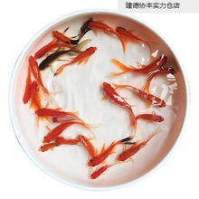 С���~���^�p�~��ˮ�ͻ���B�~��ˮ�t���\�����~С���~���~���~Դ