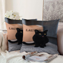 ƿɐۺ؈ﱧFҿ͏dͨÿնY