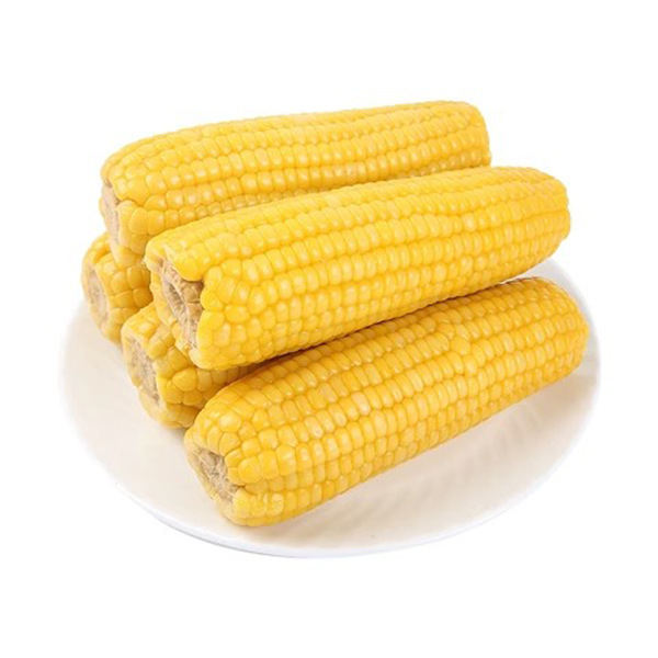 【代发】东北黄糯玉米粗粮苞米新鲜即食代餐大棒甜糯玉米真空包装|undefined