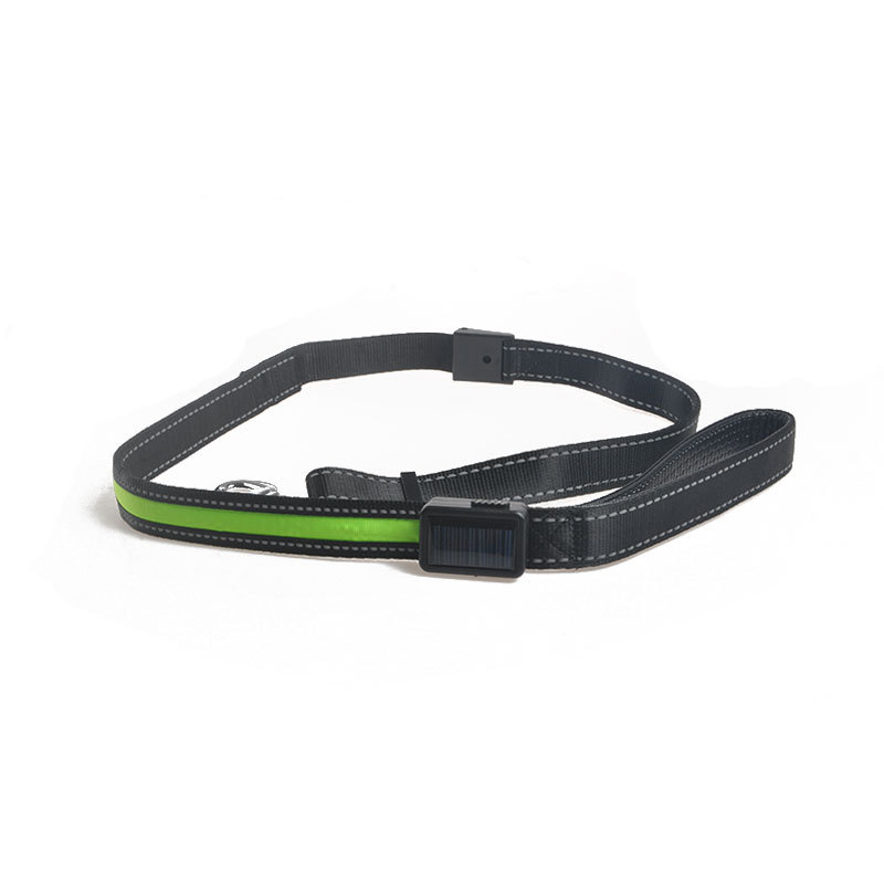Dog Luminous Collar Image 6
