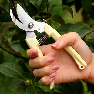 Stainless Steel Flower Shears Pruning Shears Branch Scissors Gardening Scissors Rough Shears Garden Shears Fruit Tree Shears Hardware Tools