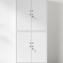 通双节铁皮文件柜办公室资料档案凭证柜带锁储物柜钢制书柜收纳柜