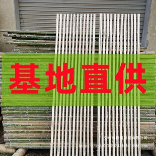 �u���Bֳ�O���������������Z����Ȧ�Bֳ��©�S�����������