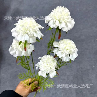 ��ɫϵ���滨�� ��c��Y�þƵ���滨�b��߻�ˇܛ�b���l���S