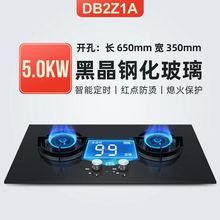 SUPOR苏泊尔燃气灶DB2Z1A双灶家用天然气液化气嵌入式台式定时5kw