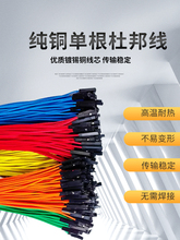 1P�θ��Ű2.54mm���~�p�^20cm��������ĸ��ĸ���Ŷ����B�Ӿ�