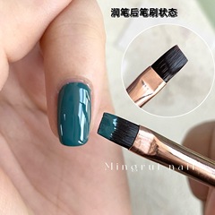 Brush set: dot drill pen, manicure pen, smudge pen, light therapy pen, thread pen, color painting, flower gradient brush, flat pen