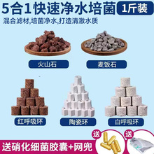 V~^VɺմɭhɽʯˮˮB~Ʒ