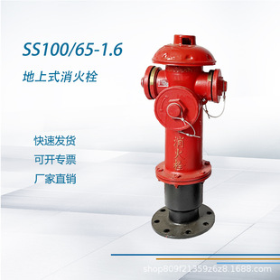 Ss100/65-1.6 Fire Hydrant Ground Fire Hydrant Fire Hydrant Outdoor Fire Hydrant Durable