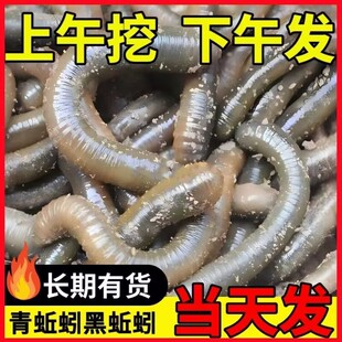 �ش�̖�r��������S�X�����������w���Ұ���~�~�D�����l