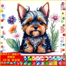 ���|AB�ɉm��֬� ����5D�ʯ�����ﹷ�M��ʯ�� �������쮋���l