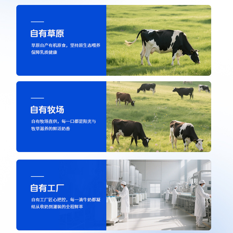 西域鲜奶皮子酸奶内蒙古手工奶皮子老酸奶不添加防腐剂源头直发|undefined