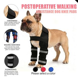 ����羳�����p�P�������o��С��Ȯ���g�܂������o���o�����oϥ