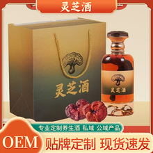 灵芝酒两瓶礼盒装中药材灵芝浸泡酒养生酒灵芝泡酒节日礼品酒批发