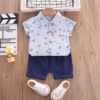 Summer cartoon shirt, shorts for boys, children's set for early age, children's clothing, wholesale