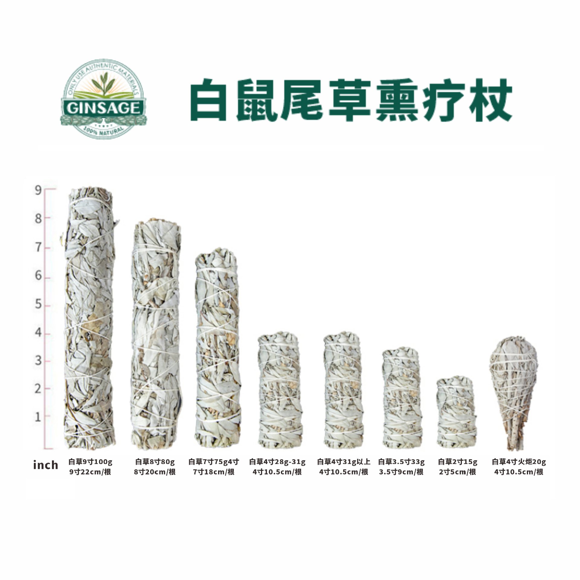 白鼠尾草熏疗杖